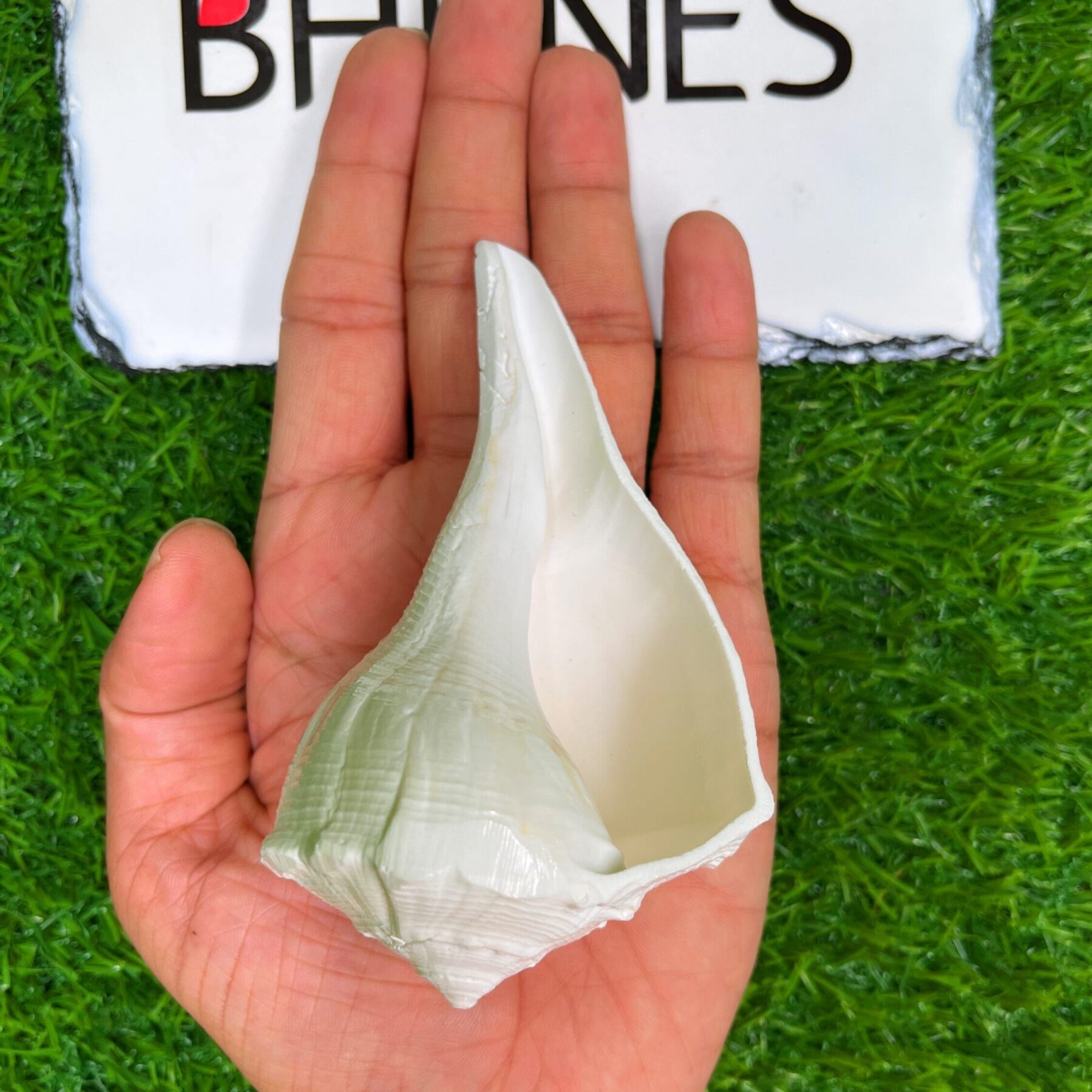 Natural Non Blowing Pooja Right Hand Lakshmi Valampuri Shankh, Dakshinavarti Conch