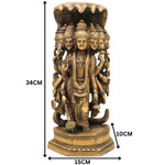 Slide image