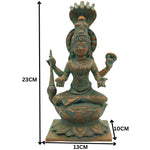 Slide image