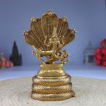 Brass Lord Sharabha Idol – Avatar of Lord Shiva Sharabeshwara Swamy Murti on Sheshnag Singhasan for Home Temple Decor
