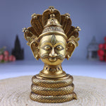 Shiva Head on Sheshnag