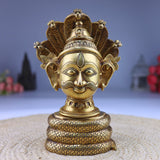 Shiva Head on Sheshnag