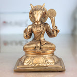 Patanjali Idol