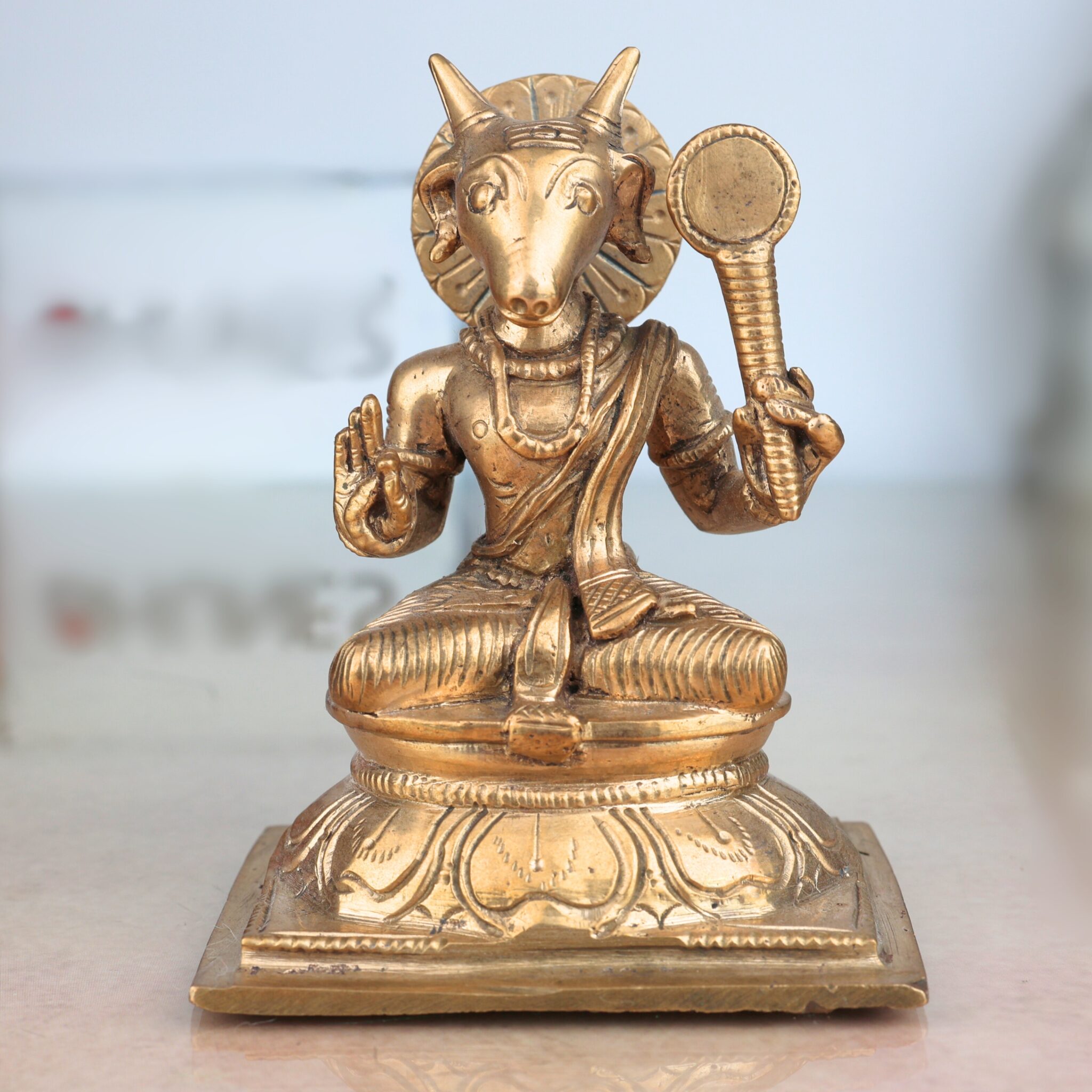 Patanjali Idol
