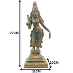 Slide image
