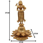 Slide image
