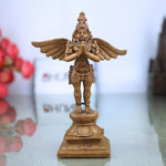 Garuda Dev Idol