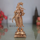 Meenakshi Amman Idol