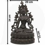 Slide image