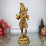 Shiva Standing Idols