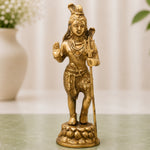 Brass Lord Shiva Standing Idols
