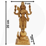 Brass Murugan Idol for Pooja | Kartikeya Skanda Subramanya Shanmukha Kumara Swamy Statue | Handcrafted Vel Murugan Moorti for Home Temple Décor,Gold, 8 Inch, 1 Piece