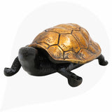 Brass Tortoise Idol | Vastu Kurma Avatar Kachhua Figurine for Home, Feng Shui, Wealth & Long Life Decor,Gold, 2 Inch, 1 Piece