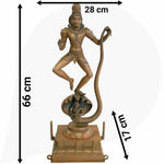 Slide image