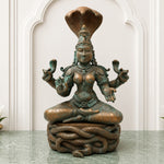 Manasadevi Idol