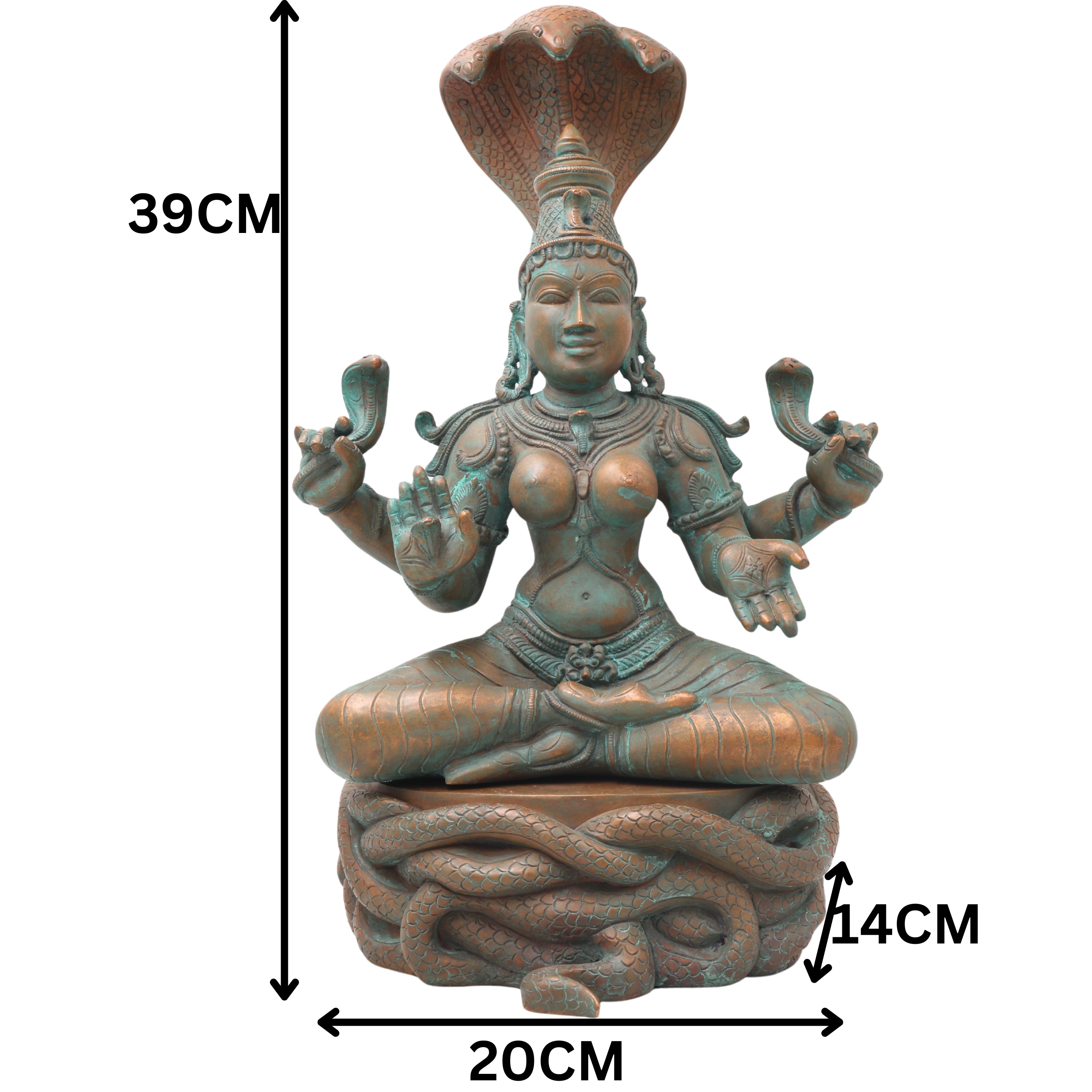 Slide image