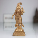 Panchaloha Meenakshi Amman Idol
