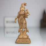 Panchaloha Meenakshi Amman Idol