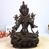 Ugra Tara, Neela Saraswati