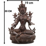 Slide image