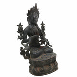 Brass Tara Maa Idol | Mahavidya Ugra Tara Devi Murti | Neela Saraswati Pital Statue for Pooja, Home Temple & Gift,Black, 10.5 Inch, 1 Piece