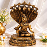 Bal Krishna on Sheshnag Idol