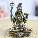 Brass Shiva Idol