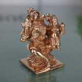 Handcrafted Varaha Lakshmi Idol
