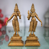 Sri Devi & Bhu Devi Idol