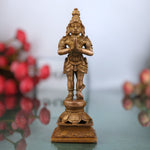 Hanuman Idol