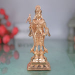Palani Murugan Idol