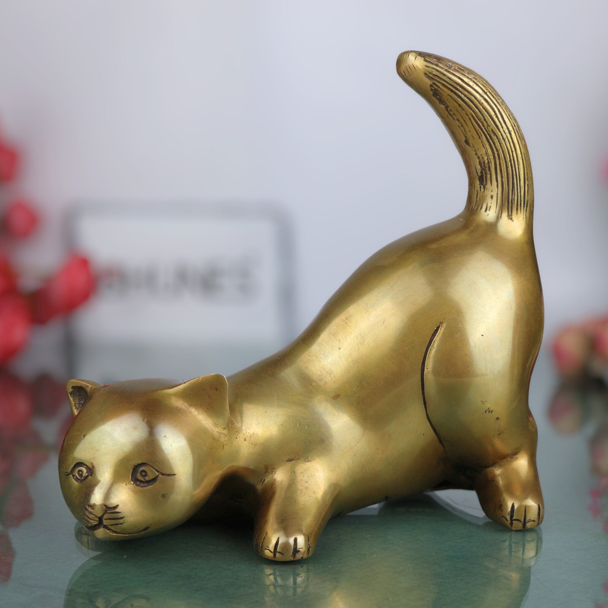 Cat Idol