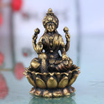 Lakshmi Narasimha Idol
