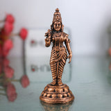 Meenakshi Amman Idol