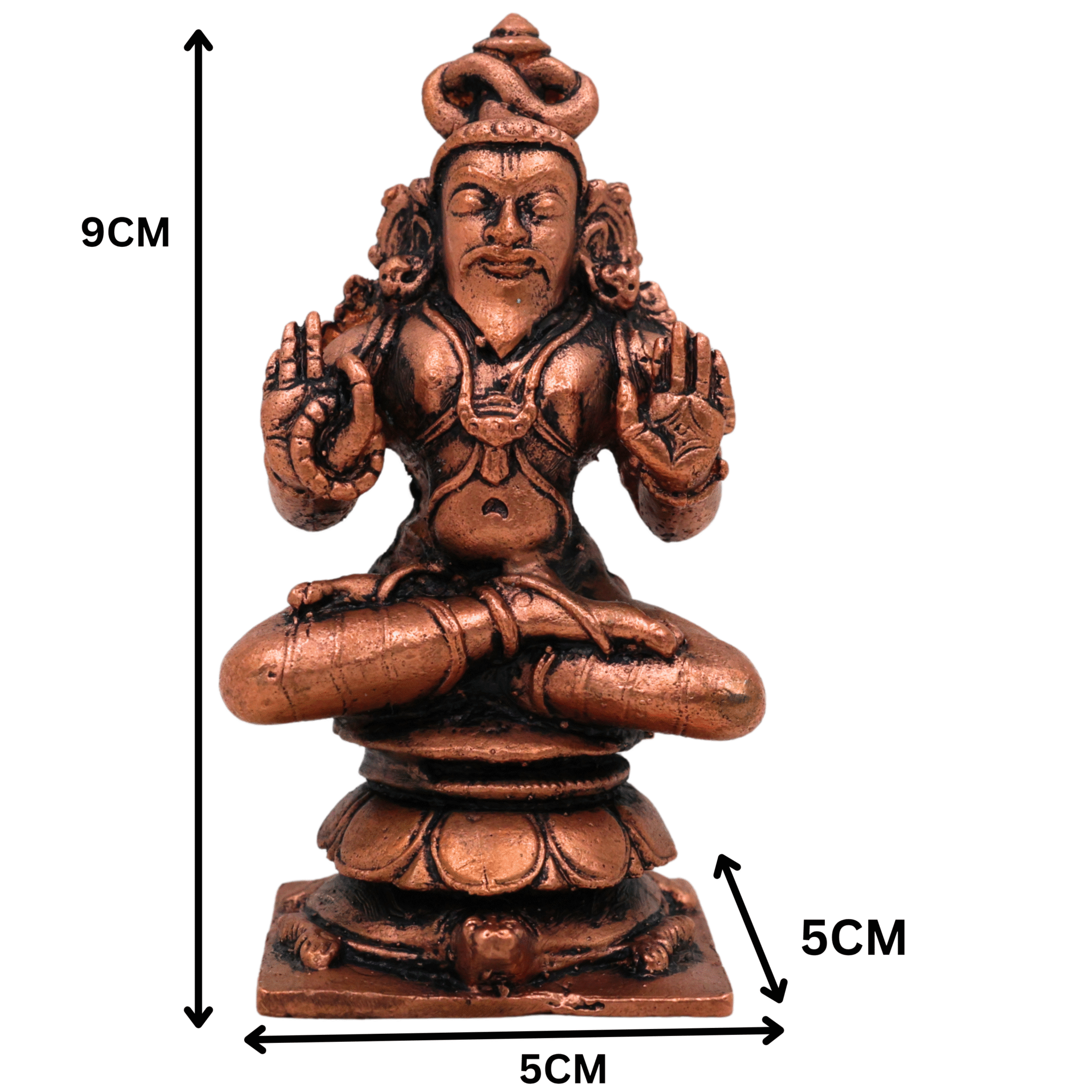 Slide image