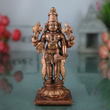 Vishnu Idol