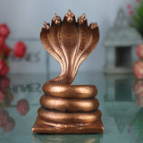 Sheshnag Idol