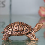 Tortoise Idol