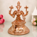 Varahi Amman Idol