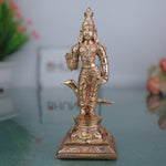 Shani Dev Idol