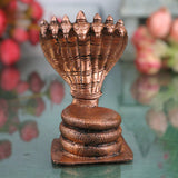 Sheshnag Idol