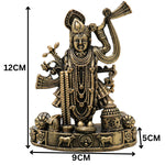 Slide image
