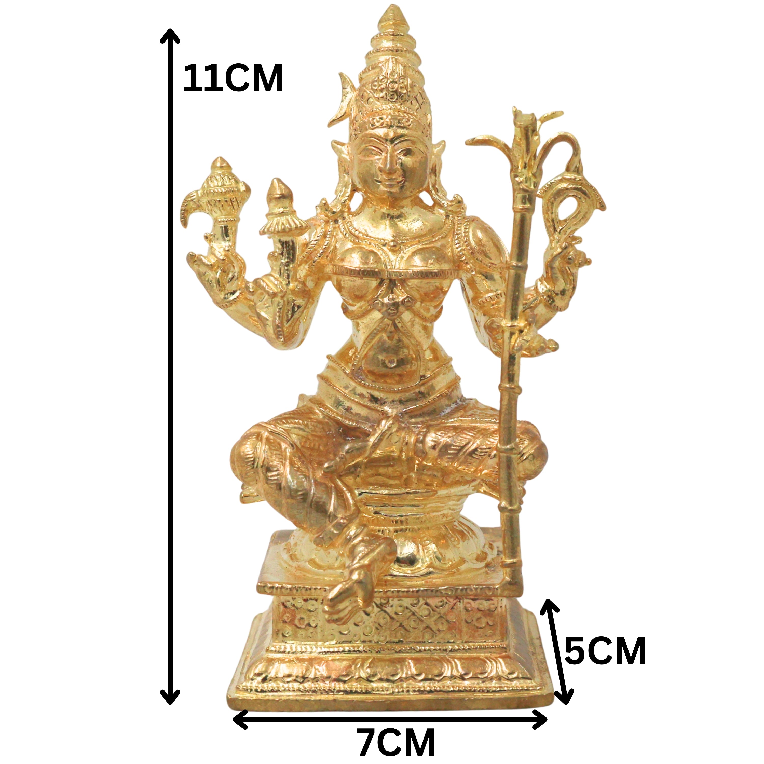 Slide image
