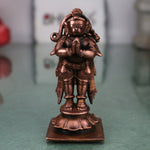  Hanuman Idol 