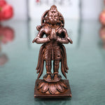  Hanuman Idol 