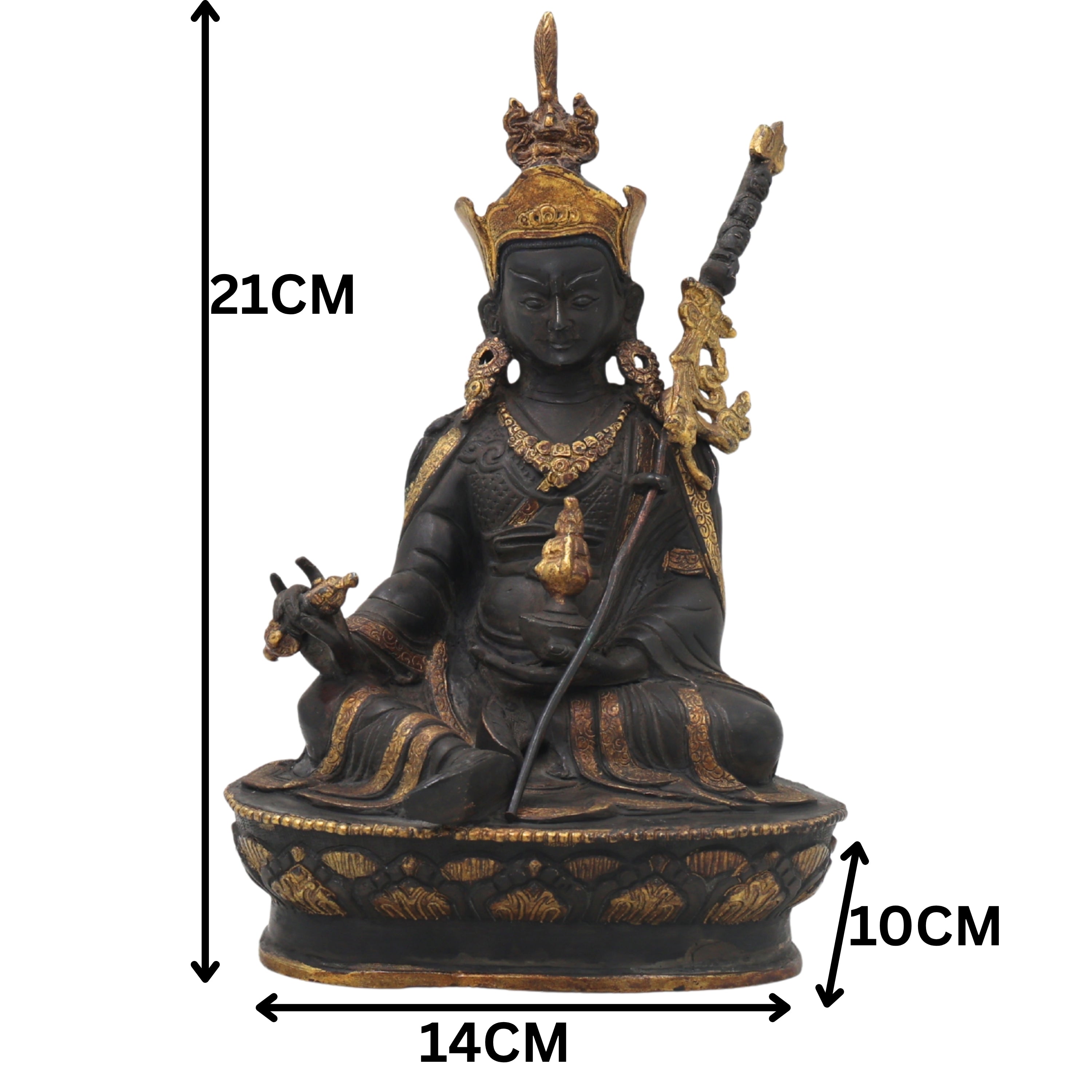Slide image