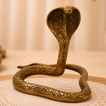  Brass Snake 