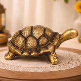 Tortoise Sculpture for Vastu
