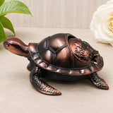 Tortoise