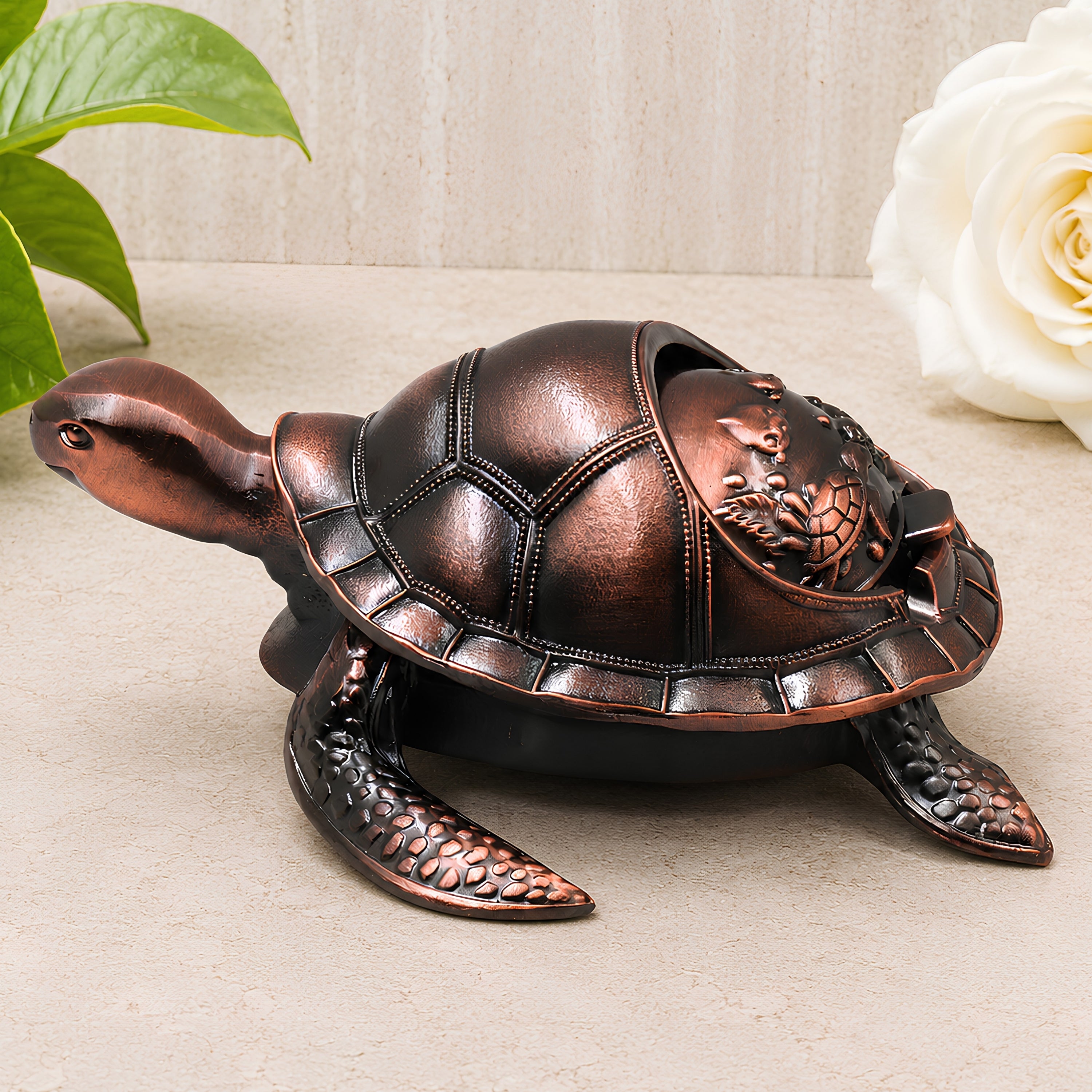 Tortoise